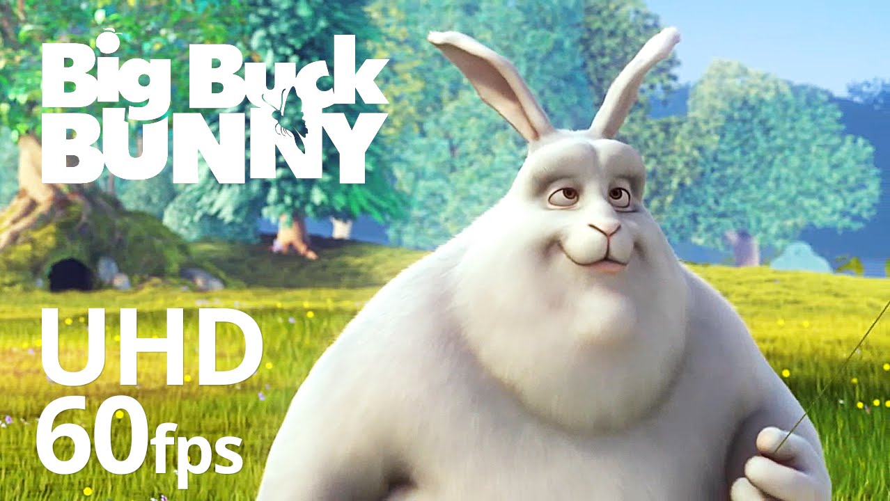 Read more about the article Big Buck Bunny 60fps 4K – Official Blender Foundation Short Film