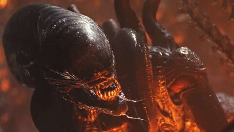 Read more about the article An Alien: Romulus Sequel Is Currently In The Works