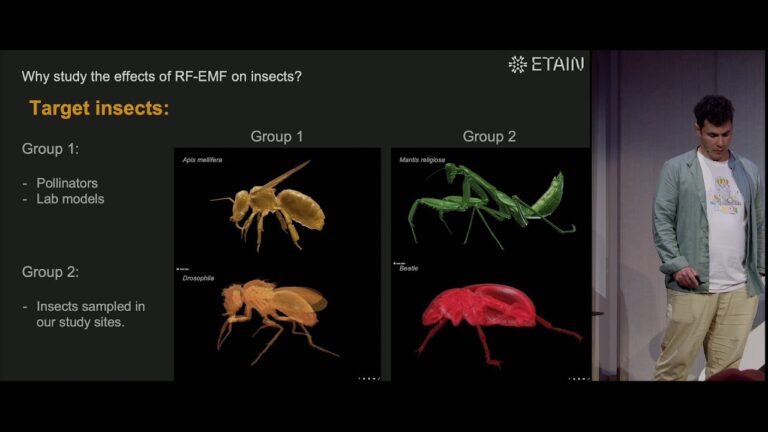 Read more about the article Exploring 5G Effects on Insects through CT-Scanned 3D Models — Blender Conference 2024