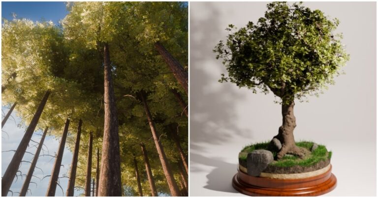 Read more about the article Create Picturesque & Realistic Trees with These Tools for Blender