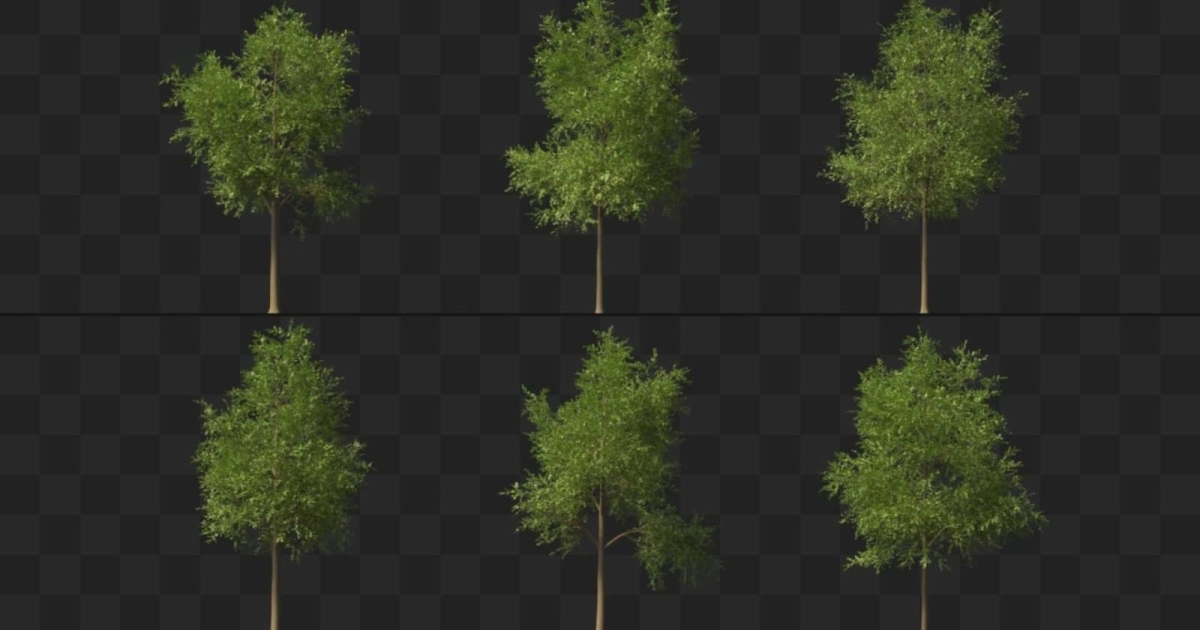 Read more about the article Grab This 3D Looping Animated Trees Pack With 6 Variations