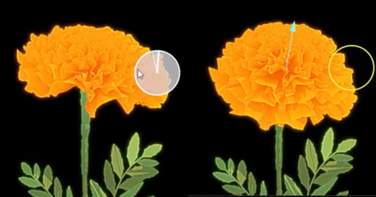 Read more about the article Make 3D Flowers Bloom with Blender’s Gizmos