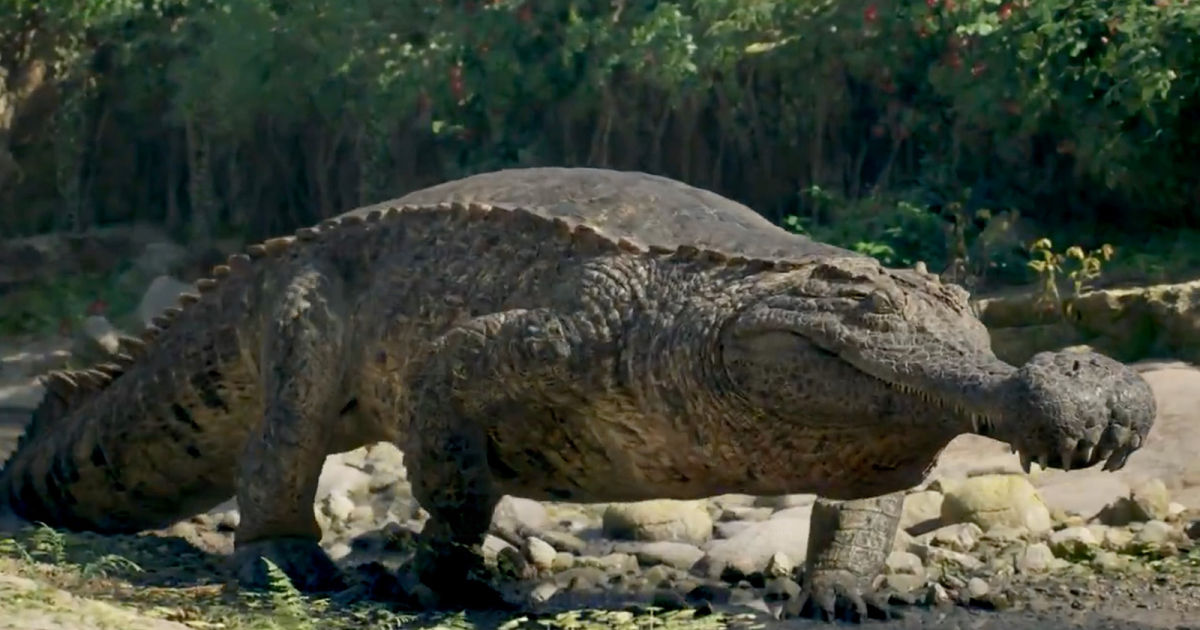 Read more about the article Sarcosuchus Walk Animated in Unreal Engine