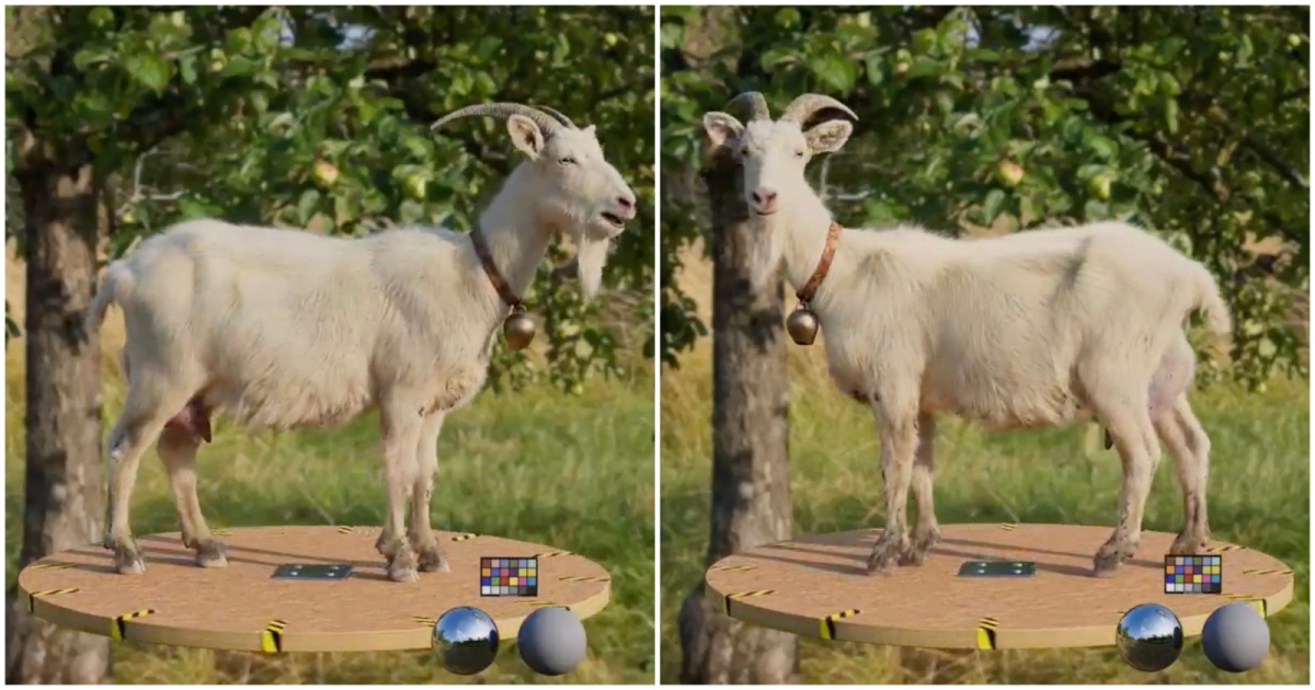 Read more about the article Take a Look at This Photorealistic Goat Made With Houdini