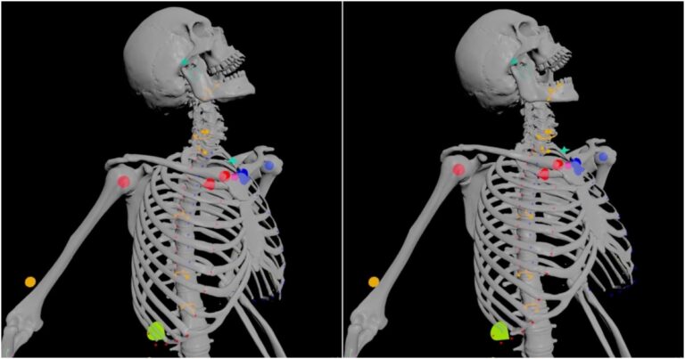 Read more about the article This Houdini-Made Rib Cage Rig Allows Creating Lifelike Breathing Animations