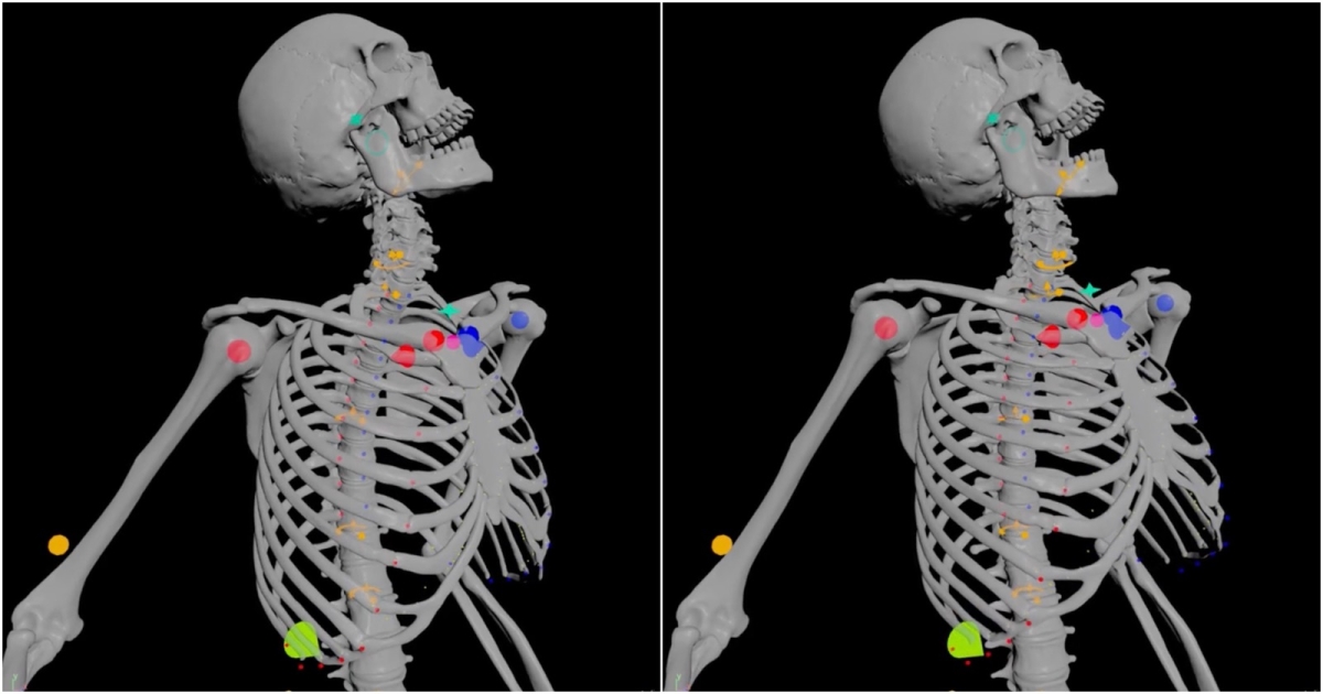 Read more about the article This Houdini-Made Rib Cage Rig Allows Creating Lifelike Breathing Animations