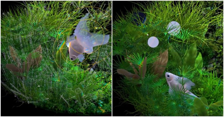 Read more about the article Renowned Goldfish Simulator App Gets Upgraded Underwater Plants