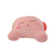 Read more about the article This Ginormous Sleeping Kirby Plush Is Available For Preorder, But Stocks Are Limited