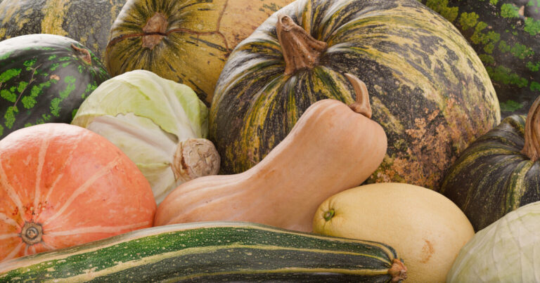 Read more about the article Check Out This Photogrammetry-Based Vegetables Assets Pack