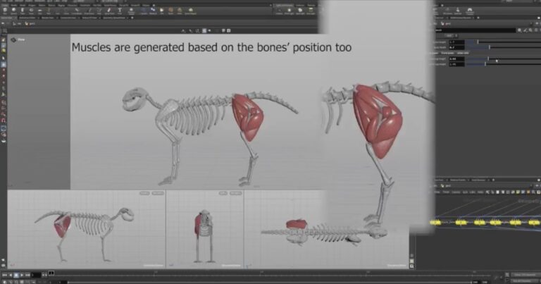 Read more about the article This Procedural Generator Can Create 3D Skeletons & Muscles