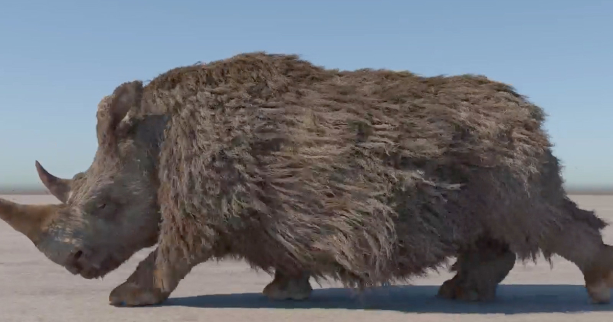 Read more about the article Rhino Fur Simulation Rendered with Houdini’s Karma