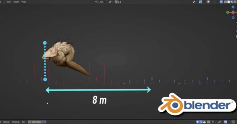 Read more about the article Learn How to Generate Root Motion Without Add-Ons in Blender