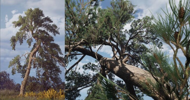 Read more about the article Studying Pine Creation With SpeedTree & Unreal Engine 5